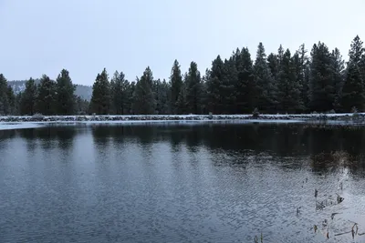 DSC_5809 (Large).JPG